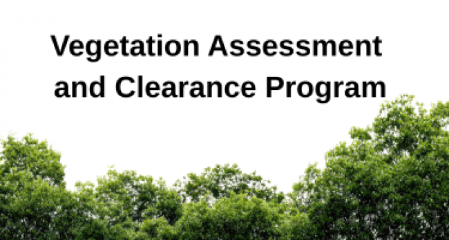 Vegetation Assessment and Clearance Program