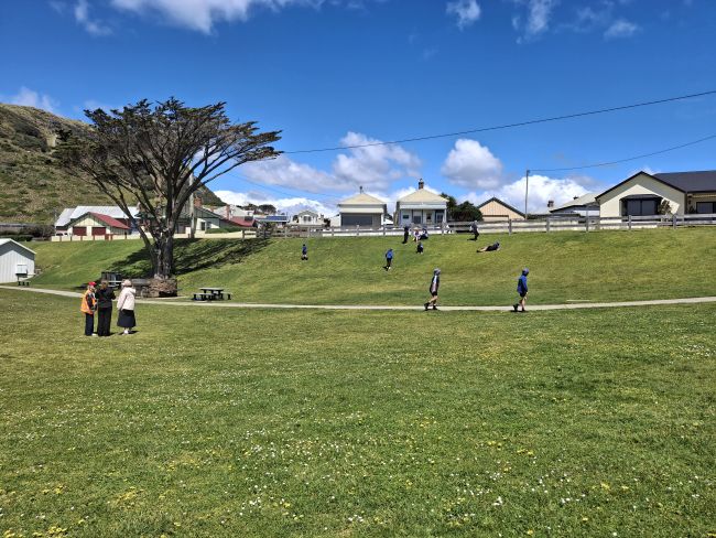 Kings Park Playground